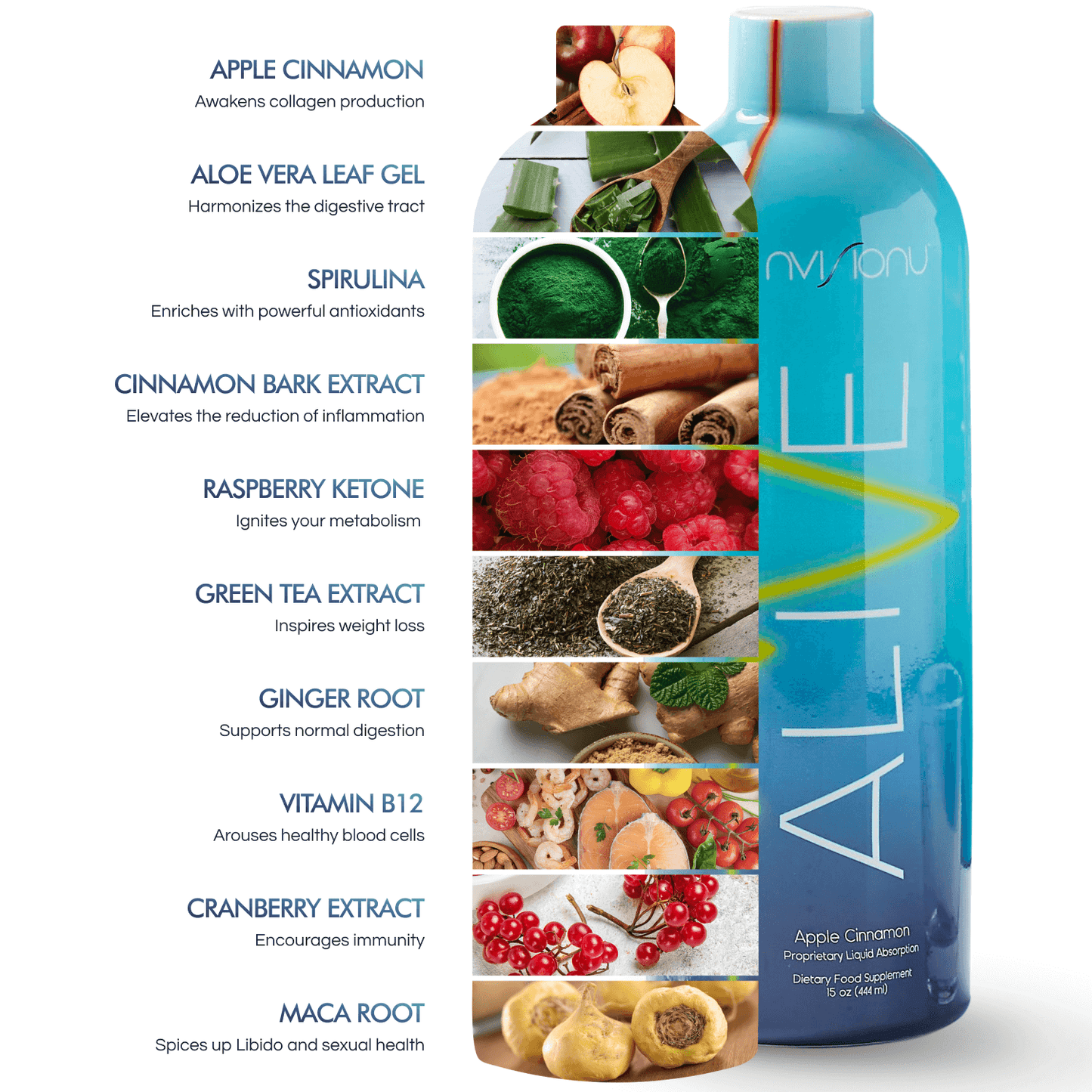 Alive Promo Pack