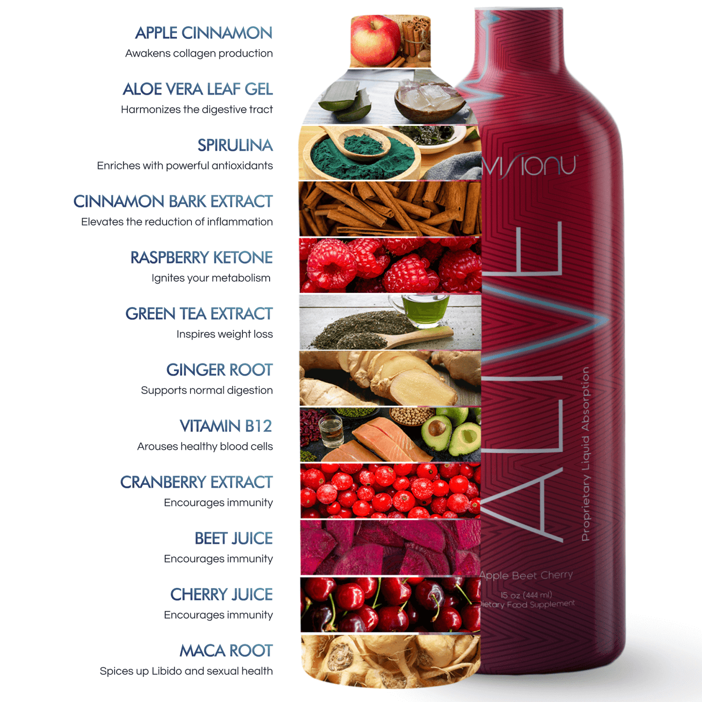Alive Promo Pack