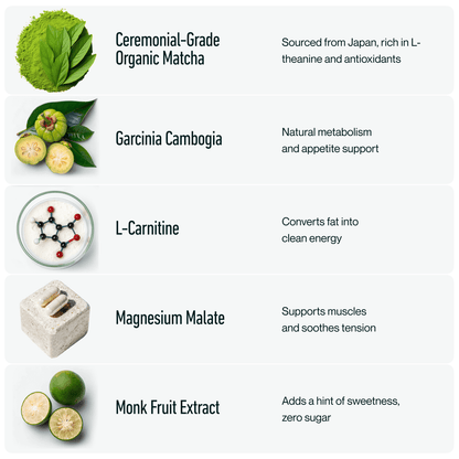 Alive Organic Matcha  2 Boxes